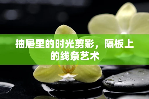 抽屉里的时光剪影，隔板上的线条艺术