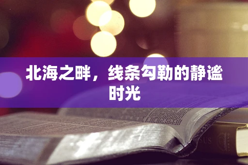 北海之畔，线条勾勒的静谧时光