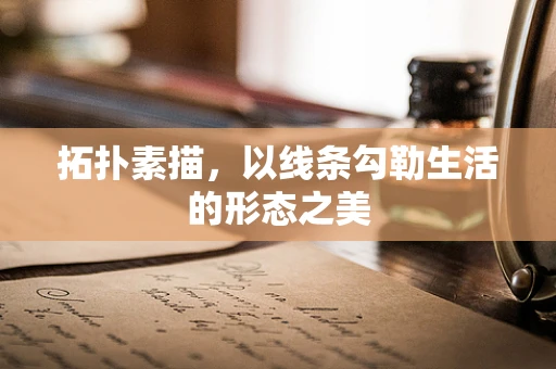 拓扑素描，以线条勾勒生活的形态之美