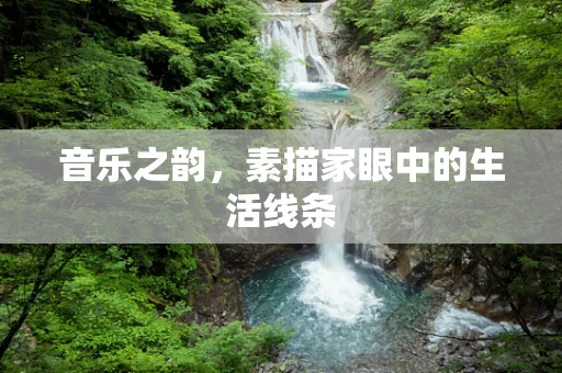 音乐之韵，素描家眼中的生活线条