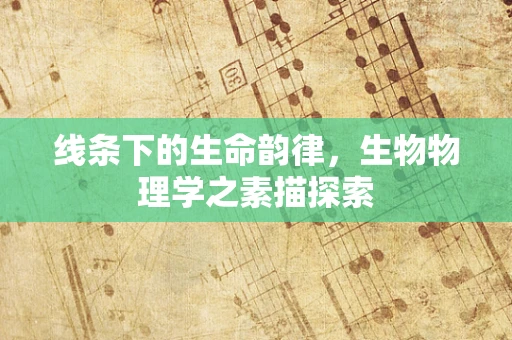 线条下的生命韵律，生物物理学之素描探索