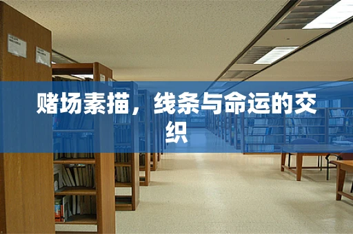 赌场素描，线条与命运的交织