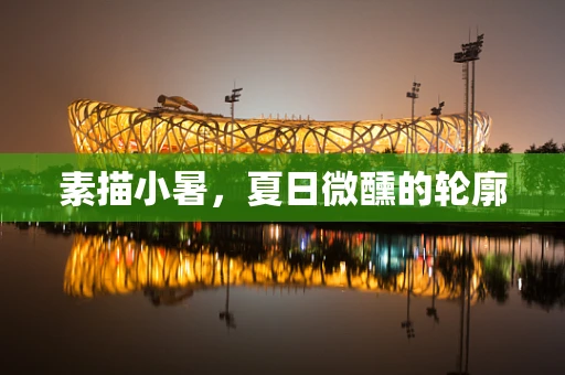 素描小暑，夏日微醺的轮廓
