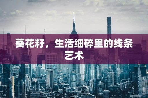 葵花籽，生活细碎里的线条艺术