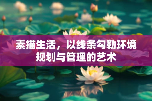 素描生活，以线条勾勒环境规划与管理的艺术