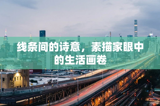 线条间的诗意，素描家眼中的生活画卷
