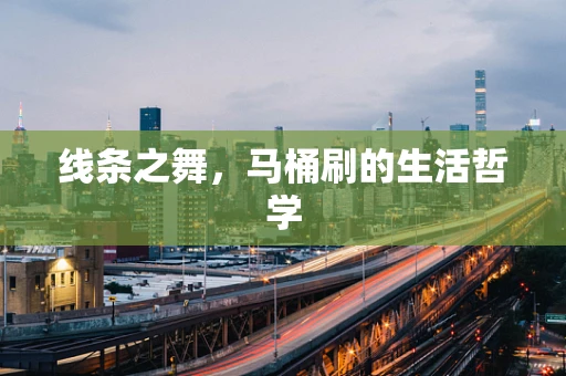 线条之舞，马桶刷的生活哲学