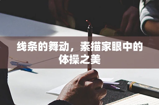 线条的舞动，素描家眼中的体操之美