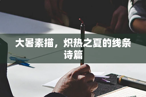 大暑素描，炽热之夏的线条诗篇