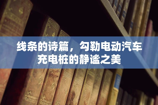 线条的诗篇，勾勒电动汽车充电桩的静谧之美