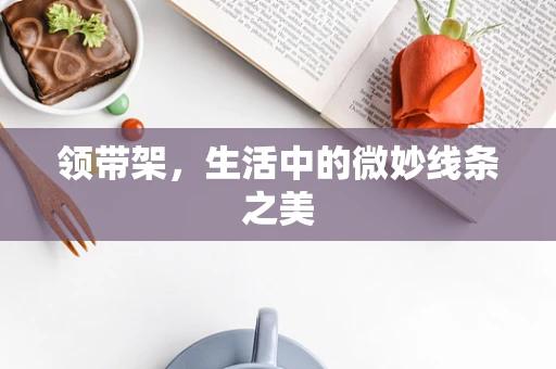 领带架，生活中的微妙线条之美