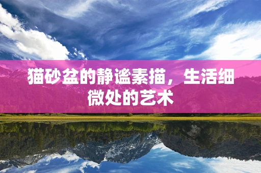 猫砂盆的静谧素描，生活细微处的艺术
