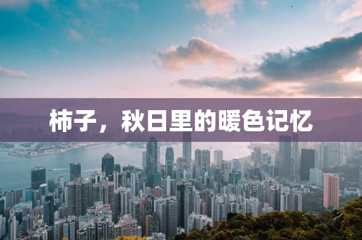 柿子，秋日里的暖色记忆