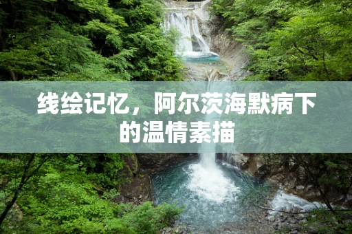 线绘记忆，阿尔茨海默病下的温情素描