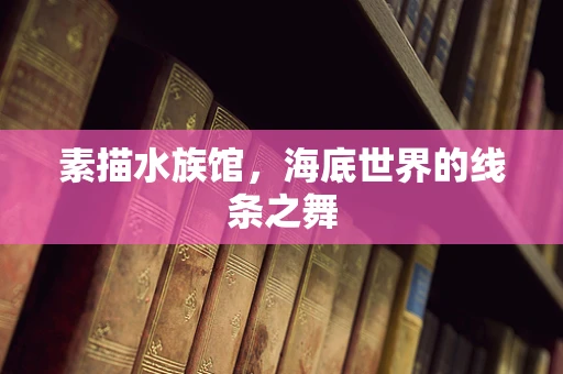 素描水族馆，海底世界的线条之舞