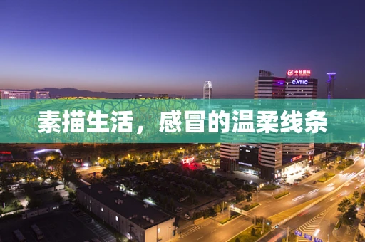 素描生活，感冒的温柔线条