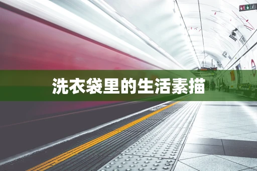 洗衣袋里的生活素描