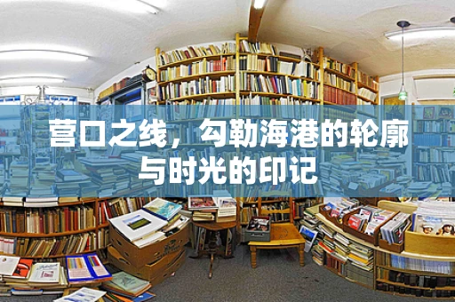 营口之线，勾勒海港的轮廓与时光的印记