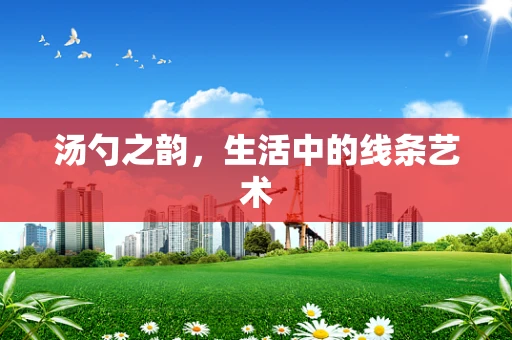 汤勺之韵，生活中的线条艺术
