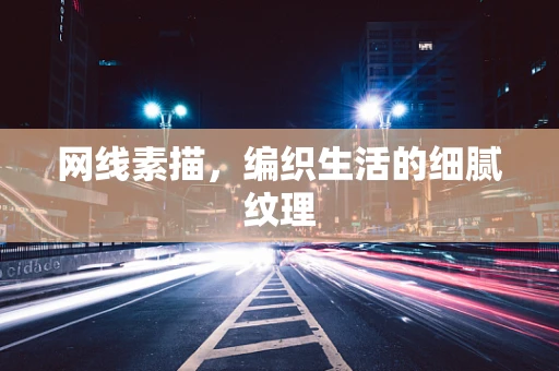 网线素描，编织生活的细腻纹理