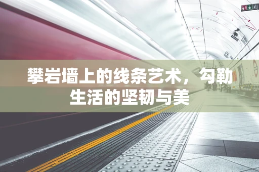攀岩墙上的线条艺术，勾勒生活的坚韧与美