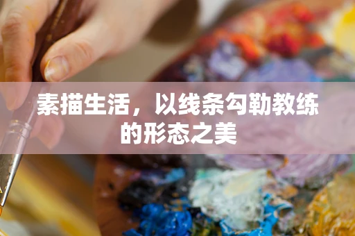 素描生活，以线条勾勒教练的形态之美