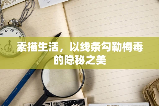 素描生活，以线条勾勒梅毒的隐秘之美