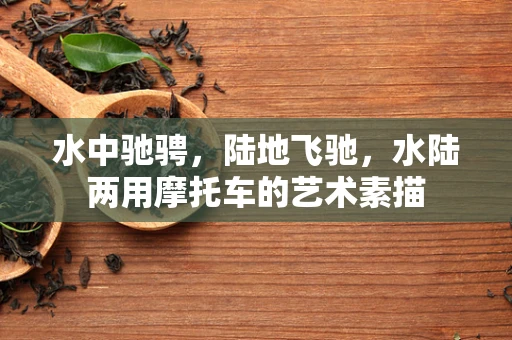 水中驰骋，陆地飞驰，水陆两用摩托车的艺术素描