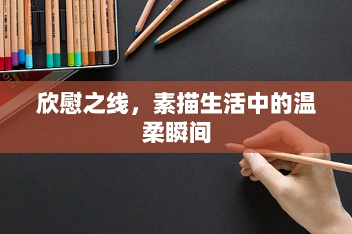 欣慰之线，素描生活中的温柔瞬间