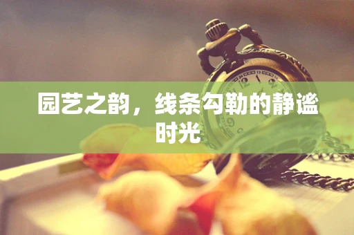 园艺之韵，线条勾勒的静谧时光