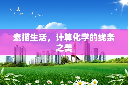 素描生活，计算化学的线条之美