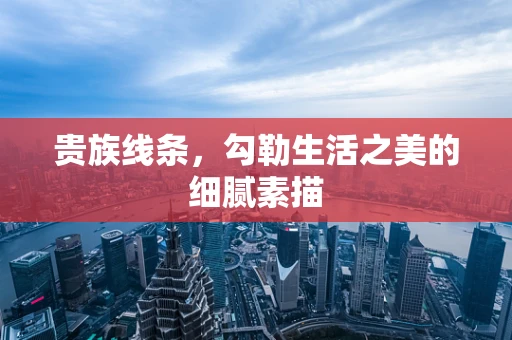 贵族线条，勾勒生活之美的细腻素描