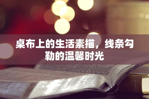 桌布上的生活素描，线条勾勒的温馨时光