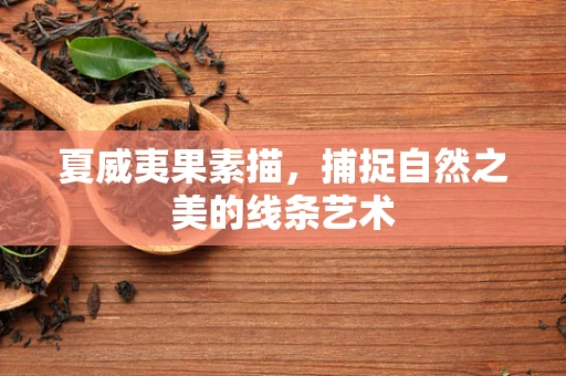 夏威夷果素描，捕捉自然之美的线条艺术
