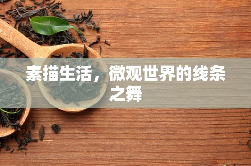素描生活，微观世界的线条之舞