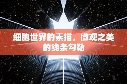 细胞世界的素描，微观之美的线条勾勒