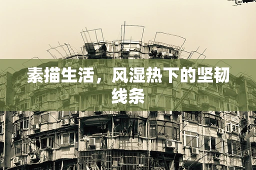 素描生活，风湿热下的坚韧线条