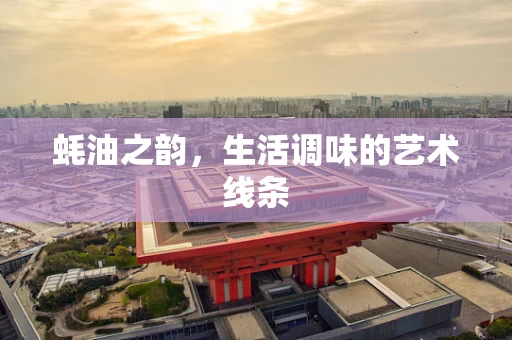 蚝油之韵，生活调味的艺术线条
