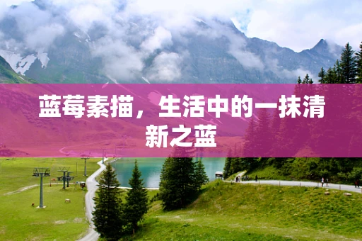 蓝莓素描，生活中的一抹清新之蓝