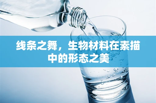 线条之舞，生物材料在素描中的形态之美