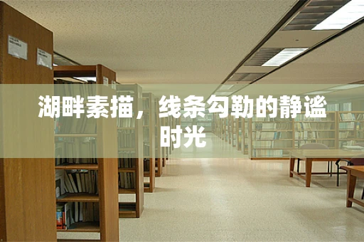 湖畔素描，线条勾勒的静谧时光