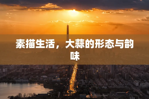 素描生活，大蒜的形态与韵味