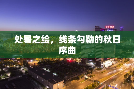 处暑之绘，线条勾勒的秋日序曲