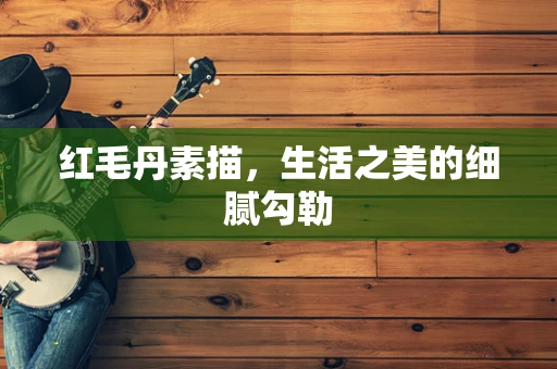 红毛丹素描，生活之美的细腻勾勒