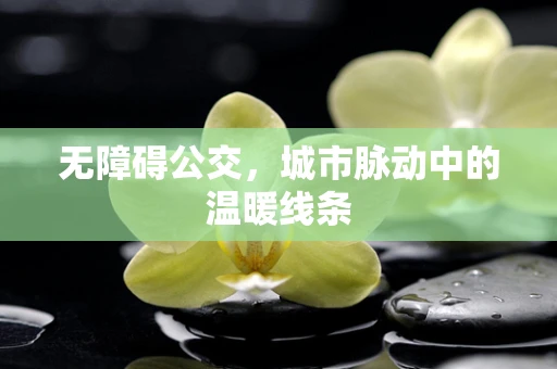 无障碍公交，城市脉动中的温暖线条