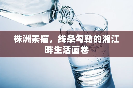 株洲素描，线条勾勒的湘江畔生活画卷