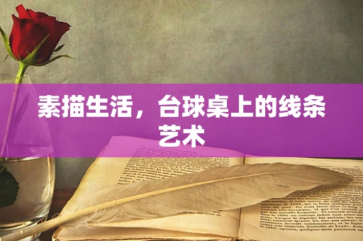 素描生活，台球桌上的线条艺术