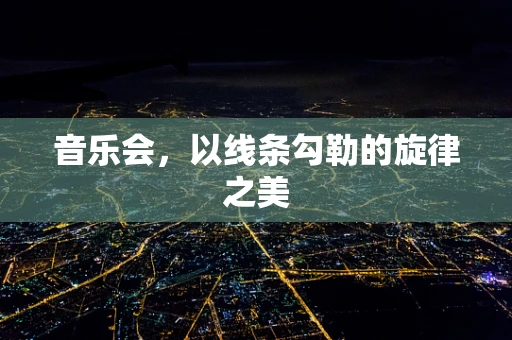 音乐会，以线条勾勒的旋律之美