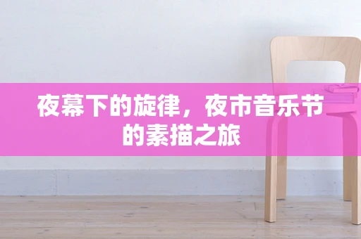 夜幕下的旋律，夜市音乐节的素描之旅