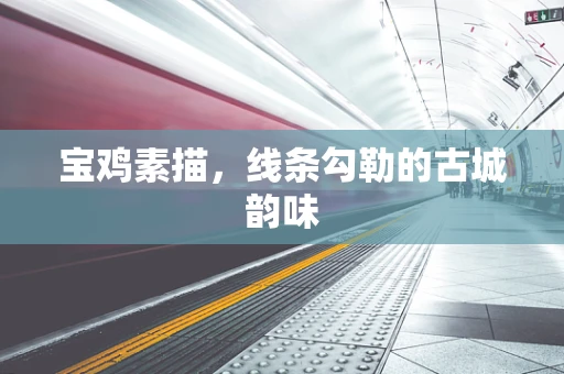 宝鸡素描，线条勾勒的古城韵味